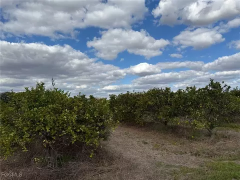 6380 6340 6th Rd, Labelle, FL 33935 photo 6