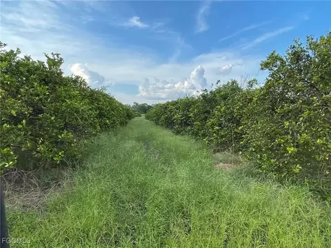 6380 6340 6th Rd, Labelle, FL 33935 photo 3