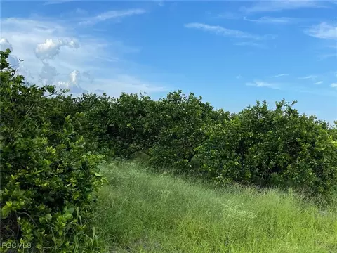 6380 6340 6th Rd, Labelle, FL 33935 photo 2