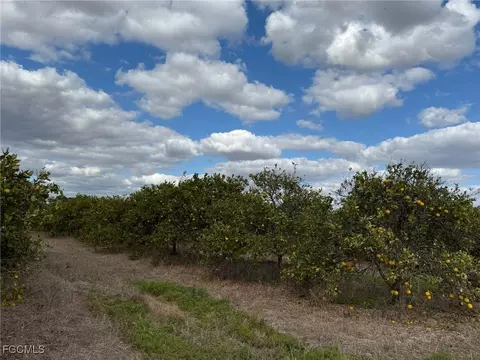 6380 6340 6th Rd, Labelle, FL 33935 photo 5