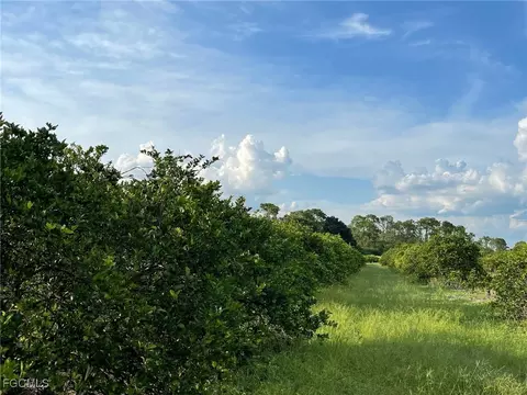 6380 6340 6th Rd, Labelle, FL 33935 photo 4