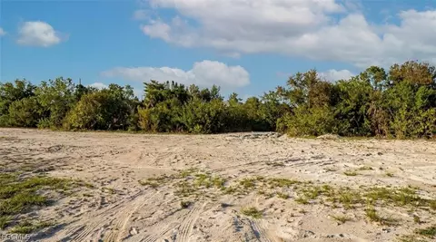 917 NE 11th Ter, Cape Coral, FL 33909