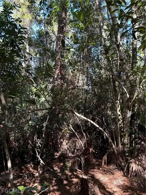 Undisclosed, Naples, FL 34120 photo 39