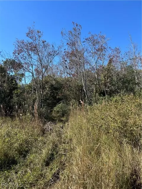 Undisclosed, Naples, FL 34120 photo 10