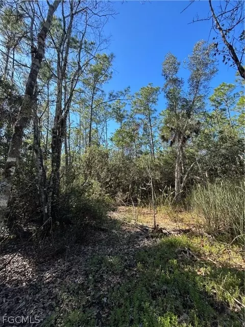 Undisclosed, Naples, FL 34120 photo 38