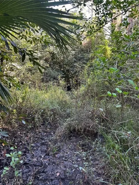 Undisclosed, Naples, FL 34120 photo 40