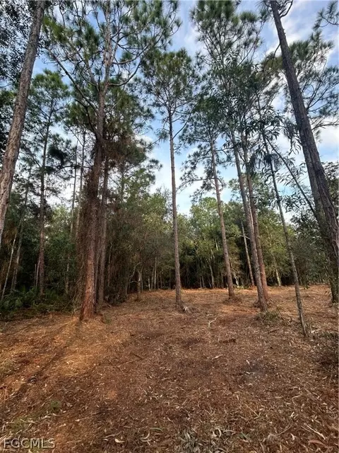 Undisclosed, Naples, FL 34120 photo 22