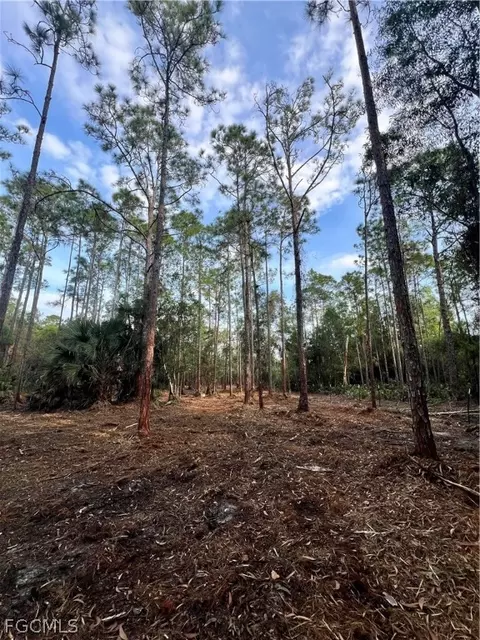 Undisclosed, Naples, FL 34120 photo 45