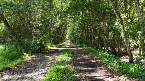 Undisclosed, Naples, FL 34120 photo 4