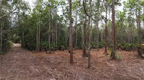 Undisclosed, Naples, FL 34120 photo 8