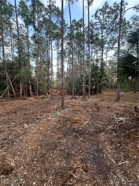 Undisclosed, Naples, FL 34120 photo 19