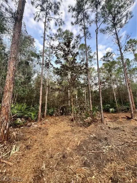 Undisclosed, Naples, FL 34120 photo 44