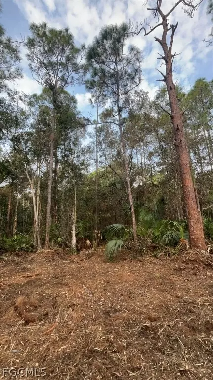 Undisclosed, Naples, FL 34120 photo 34