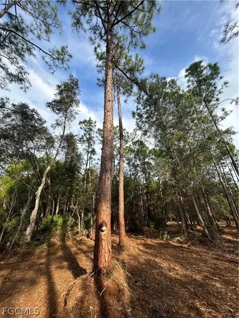 Undisclosed, Naples, FL 34120 photo 37