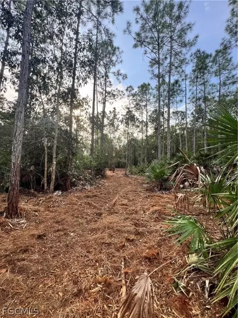 Undisclosed, Naples, FL 34120 photo 3