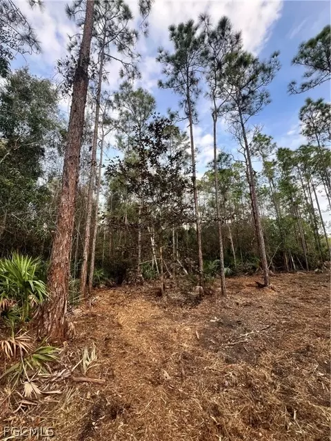 Undisclosed, Naples, FL 34120 photo 43