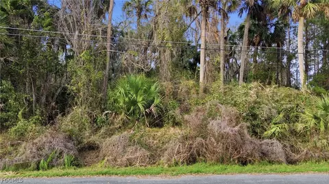 Fox Rd, Astor, FL 32102 photo 3