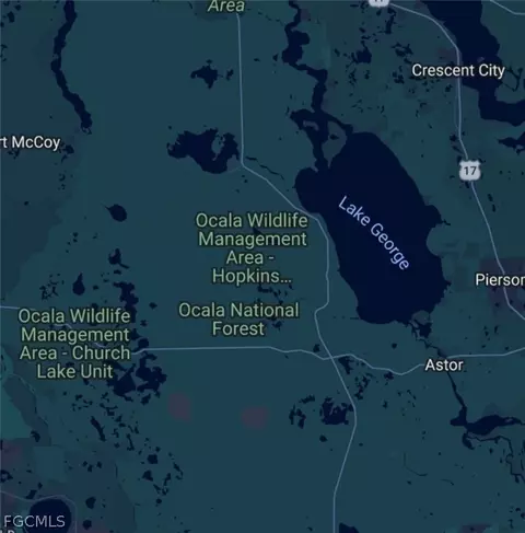 Fox Rd, Astor, FL 32102 photo 10