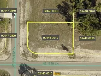 1217 NE Juanita Pl, Cape Coral, FL 33909