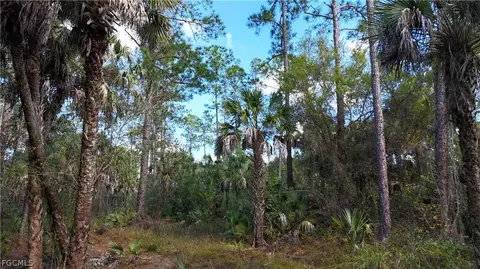 Undisclosed, Naples, FL 34117 photo 7