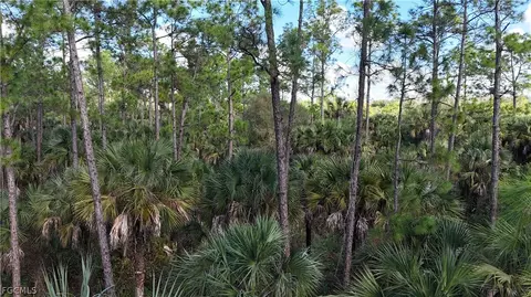 Undisclosed, Naples, FL 34117 photo 10