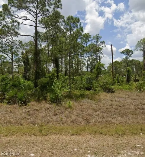 2315 Mcarthur Ave, Alva, FL 33920