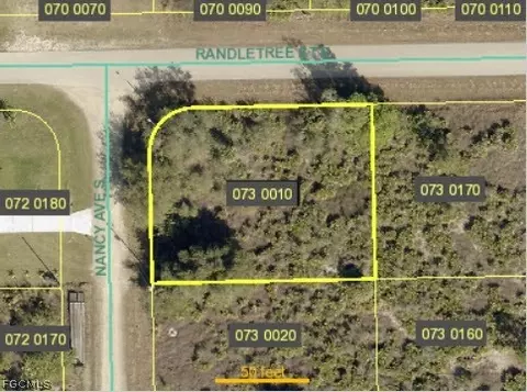 231 Nancy Ave S, Lehigh Acres, FL 33974