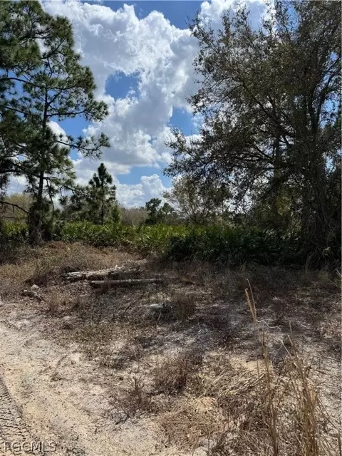 7969 3rd Ter, Labelle, FL 33935 photo 6