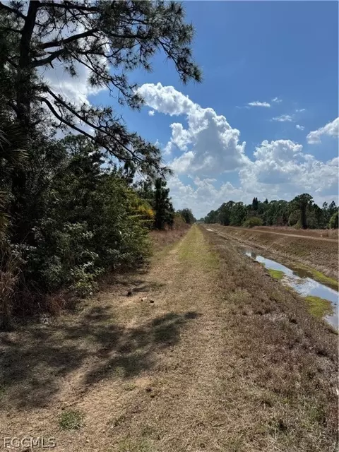 7969 3rd Ter, Labelle, FL 33935 photo 8