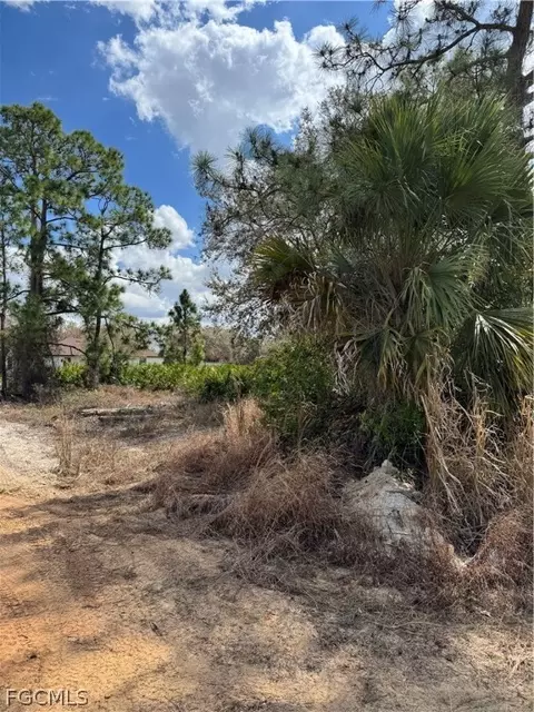 7969 3rd Ter, Labelle, FL 33935 photo 7