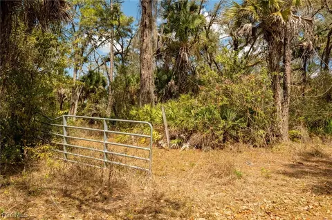 3751 Bateman Rd, Alva, FL 33920 photo 3