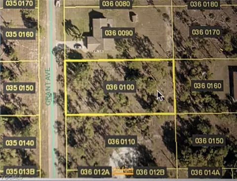 204 Grant Ave, Lehigh Acres, FL 33936