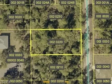 2019 Leroy Ave, Alva, FL 33920