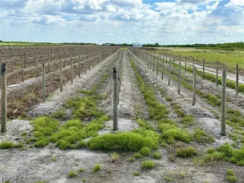 5567 5th Rd, Labelle, FL 33935