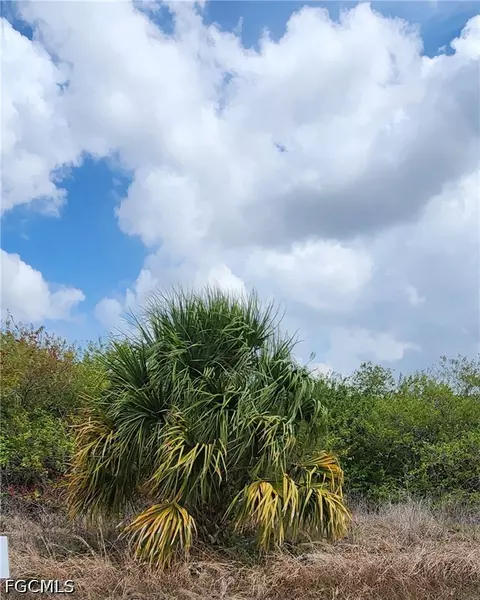 357 Neighborly Rd, Labelle, FL 33935 photo 7