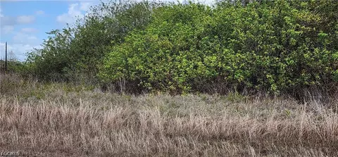357 Neighborly Rd, Labelle, FL 33935 photo 4