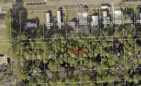 Buttercup St, Jacksonville, FL 32210