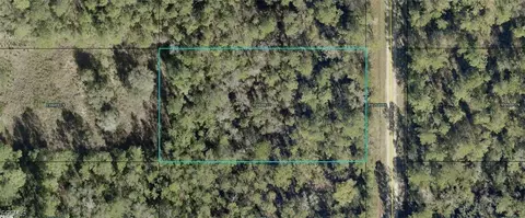 10065 Carpenter Ave, Hastings, FL 32145