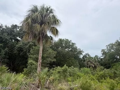 1905 Hamilton Ave, Lehigh Acres, FL 33972