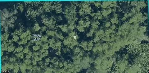 1002 Robert Ave, Lehigh Acres, FL 33936