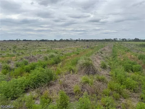 7156 6th Rd, Labelle, FL 33935 photo 6