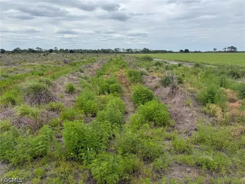 7156 6th Rd, Labelle, FL 33935 photo 2
