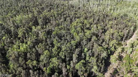 Undisclosed, Naples, FL 34119