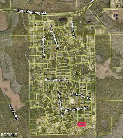 456 Red Pine Ct, Ormond Beach, FL 32174