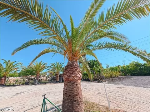 11851 Stringfellow Rd, Bokeelia, FL 33922 photo 25