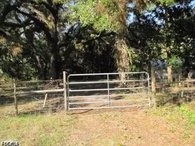 22721 Tuckahoe Rd, Alva, FL 33920 photo 2