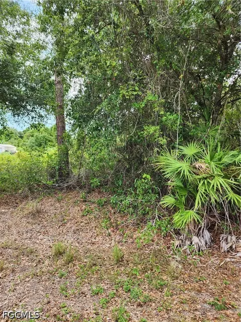 1114 Mckinley Ave, Lehigh Acres, FL 33972