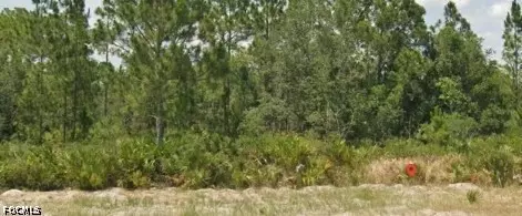3011 W Dixon Rd, Avon Park, FL 33825