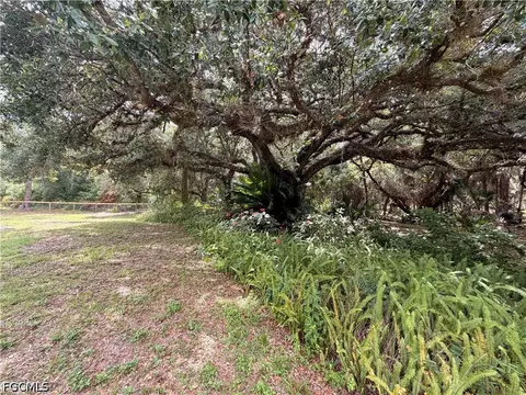 18251 Persimmon Ridge Rd, Alva, FL 33920