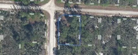 3436 Cliff Swallow St, Lake Placid, FL 33852